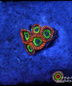 Emerald on fire